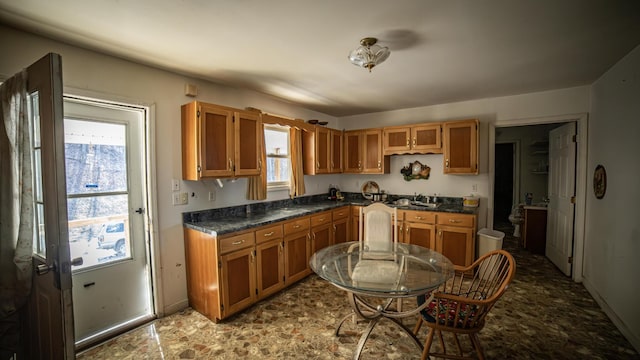 kitchen featuring plenty of natural light and sink