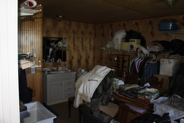 interior space with sink and wooden walls