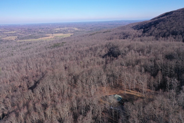 aerial view with a mountain view