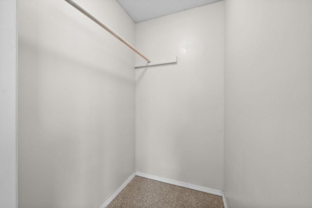 spacious closet featuring carpet floors