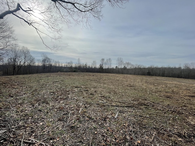 1 Rascaltown Rd, Loretto TN, 38469 land for sale