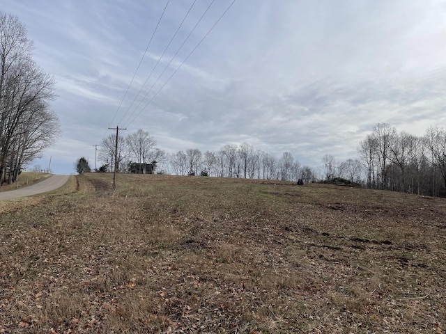 Listing photo 2 for 1 Rascaltown Rd, Loretto TN 38469