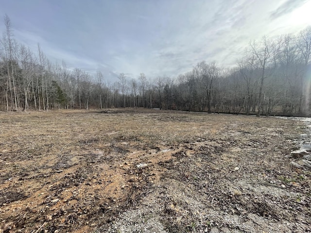 Listing photo 2 for 0 Stateline Rd, Loretto TN 38469