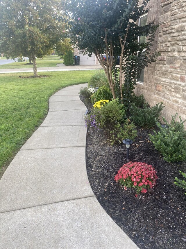 5107 General Eisenhower Dr, Murfreesboro, TN 37129 - view of yard