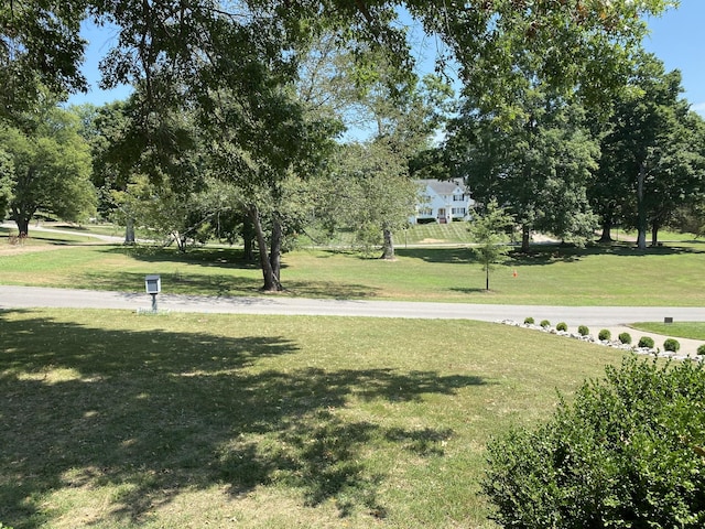 view of home's community with a yard