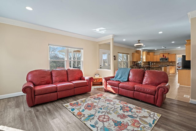 living room with hardwood / wood-style flooring and ornamental molding