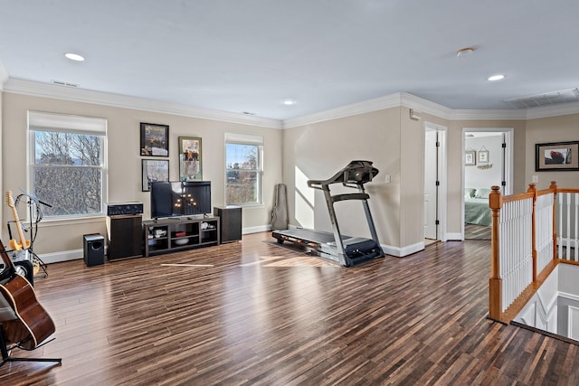 workout room with a wealth of natural light, crown molding, and dark hardwood / wood-style flooring