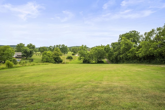 view of yard with a rural view