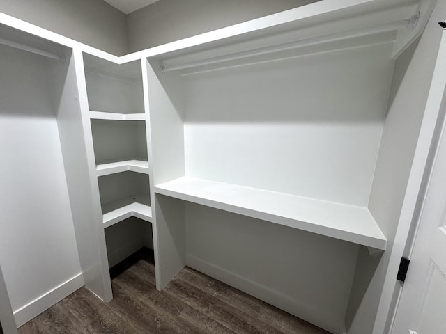 spacious closet featuring dark hardwood / wood-style floors