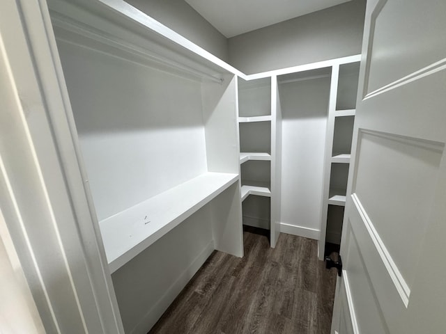 walk in closet featuring dark wood-type flooring