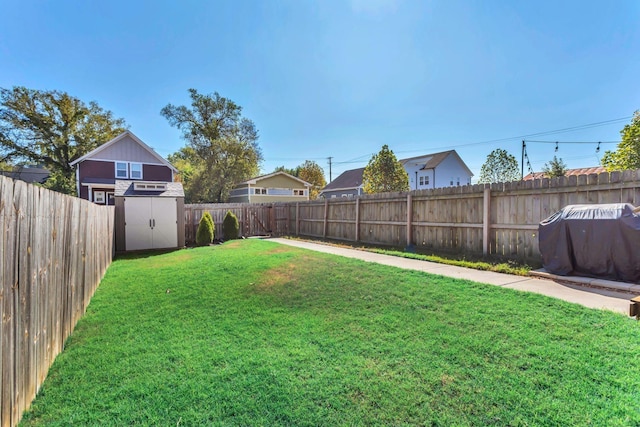 view of yard with a storage shed