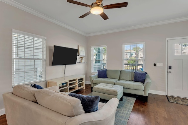 living room with dark hardwood / wood-style flooring, ornamental molding, and ceiling fan