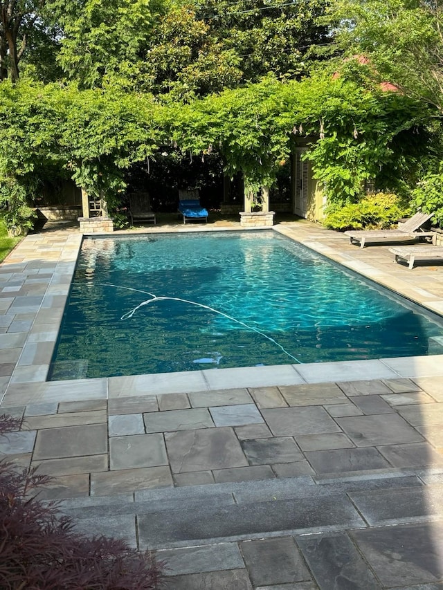 view of pool featuring a patio area