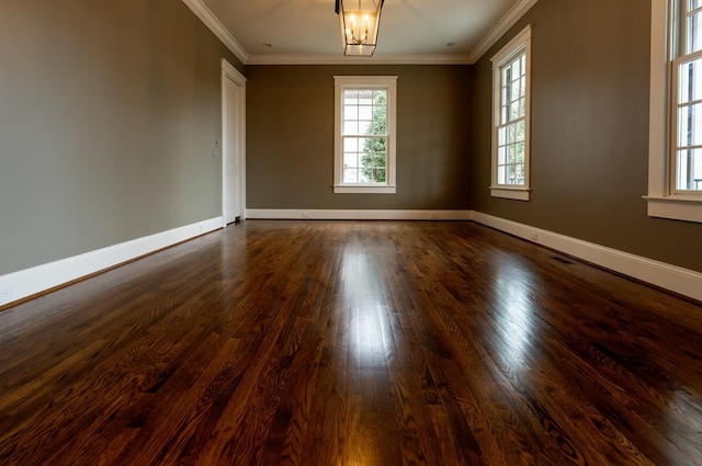 empty room featuring crown molding, an inviting chandelier, and dark hardwood / wood-style flooring