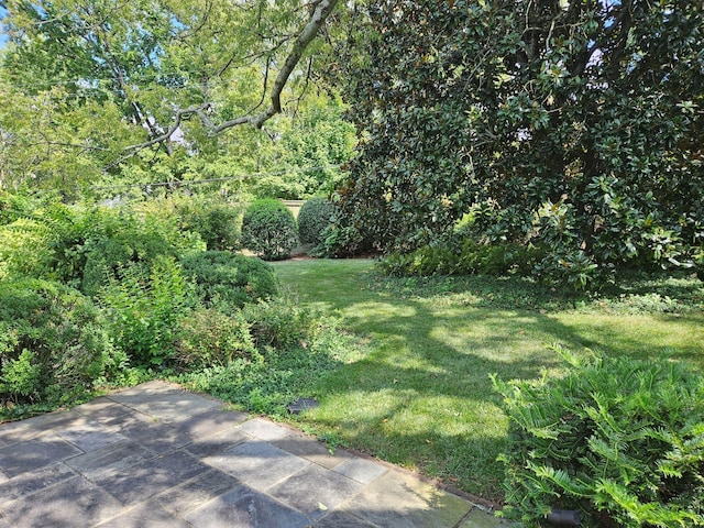 view of yard with a patio area