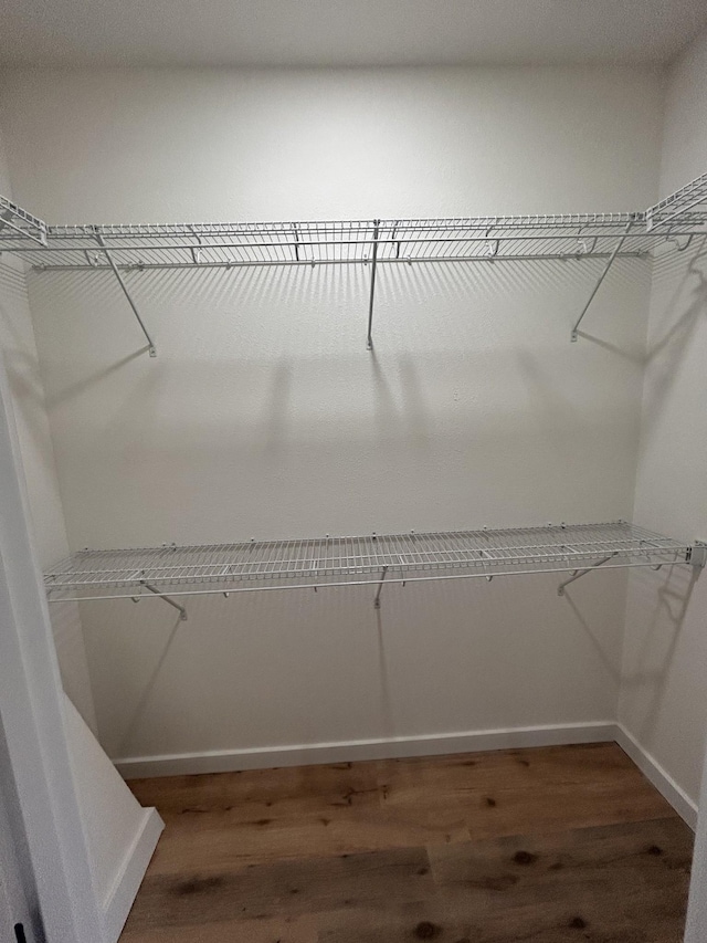 walk in closet featuring dark wood-type flooring