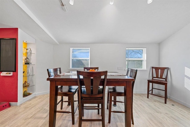 dining area featuring light hardwood / wood-style floors and plenty of natural light