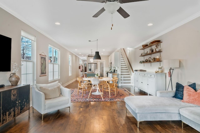 living room featuring dark hardwood / wood-style flooring, ceiling fan, and crown molding