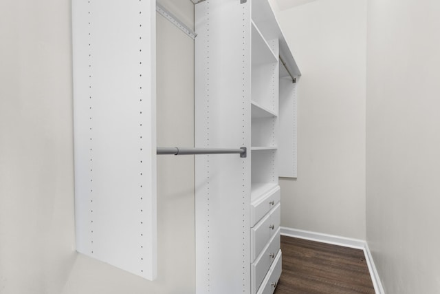 walk in closet with dark hardwood / wood-style floors