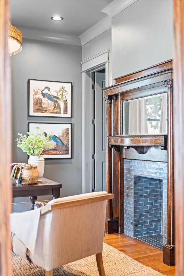 sitting room featuring light hardwood / wood-style floors