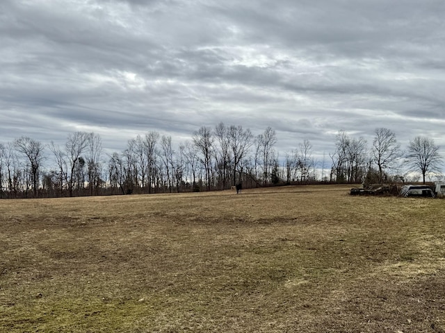 view of local wilderness