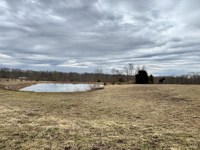 property view of water featuring a rural view