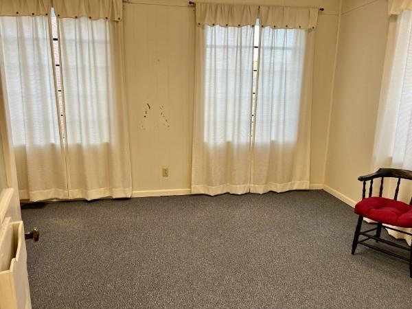 living area featuring carpet flooring