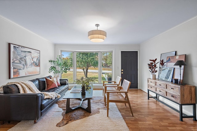 living room with hardwood / wood-style floors and ornamental molding