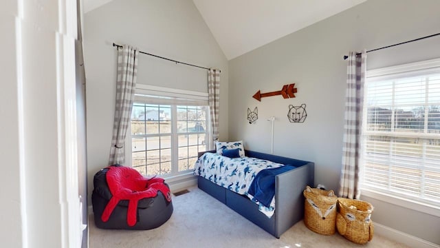 bedroom with lofted ceiling and carpet floors