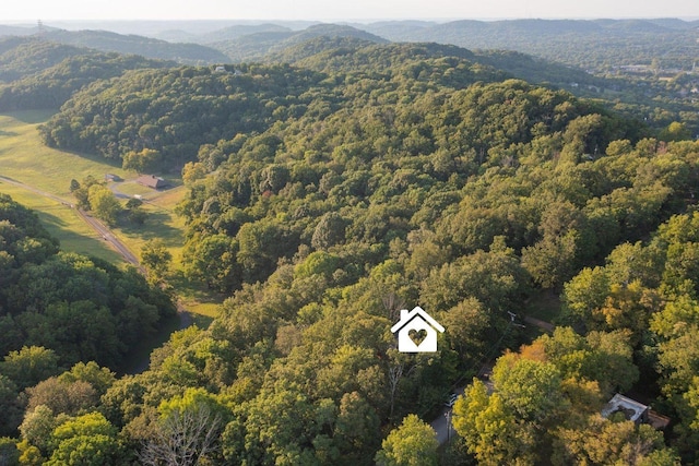 drone / aerial view with a mountain view