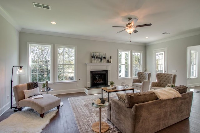 living room featuring dark hardwood / wood-style flooring, crown molding, and a wealth of natural light