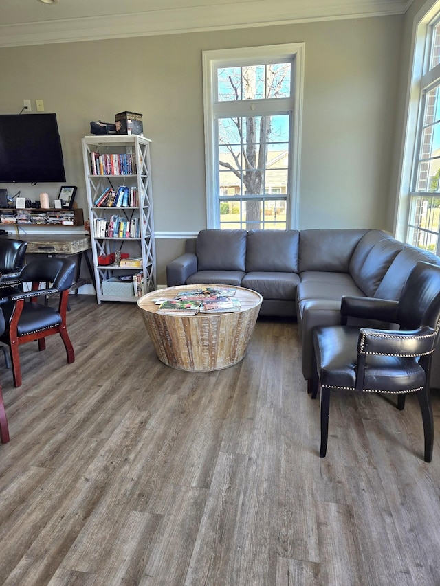 living room with wood finished floors and crown molding