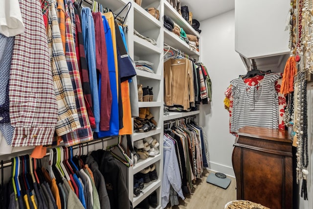 spacious closet featuring light wood-style floors