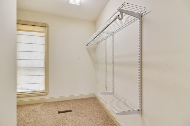 spacious closet with carpet flooring