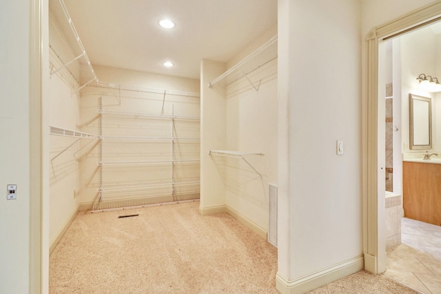 walk in closet featuring sink and carpet