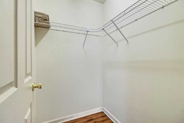 walk in closet featuring dark wood-style flooring