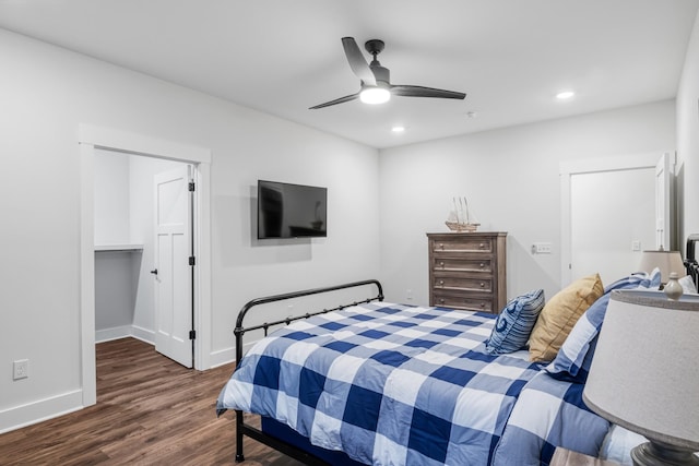 bedroom featuring ceiling fan, dark wood-type flooring, and a walk in closet