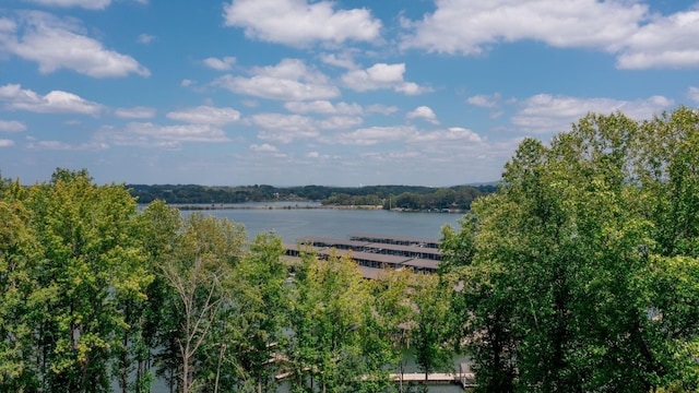 view of water feature