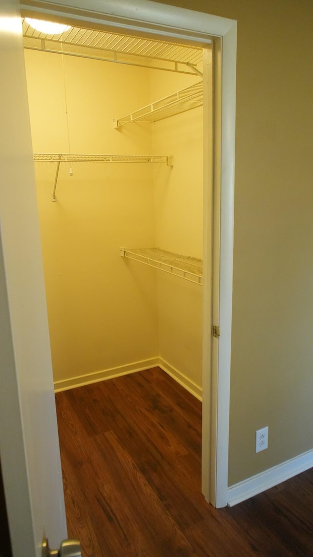 walk in closet with dark wood-type flooring