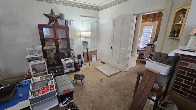 miscellaneous room featuring carpet