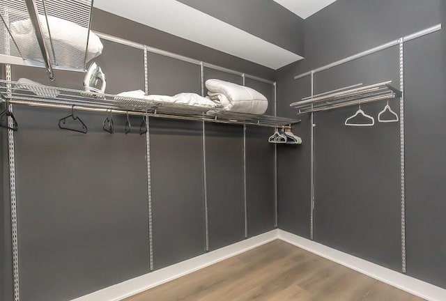 spacious closet with dark hardwood / wood-style floors