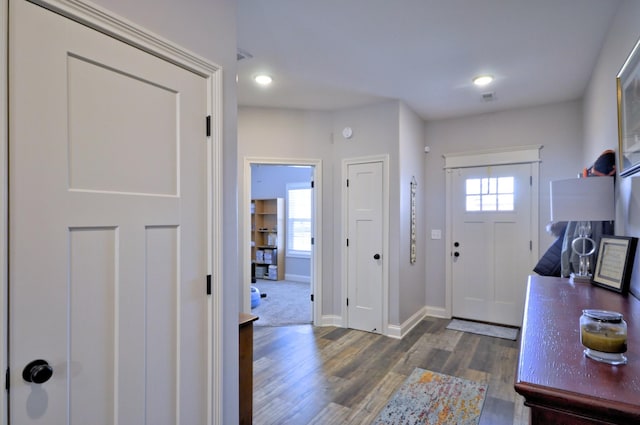 foyer entrance featuring dark wood-type flooring