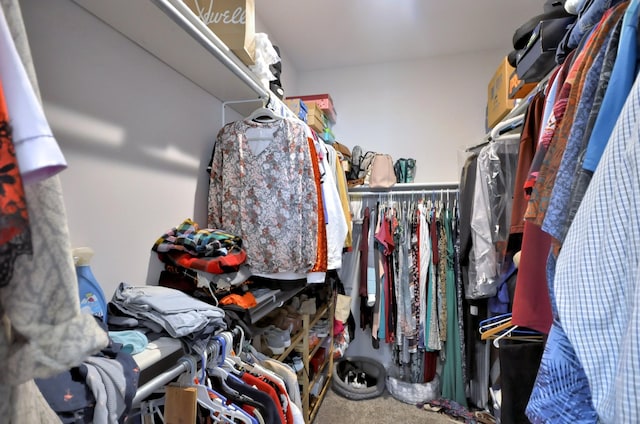 spacious closet with carpet