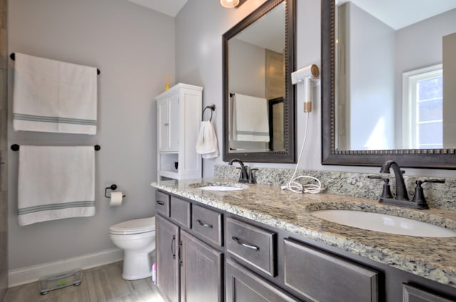 bathroom with toilet and vanity