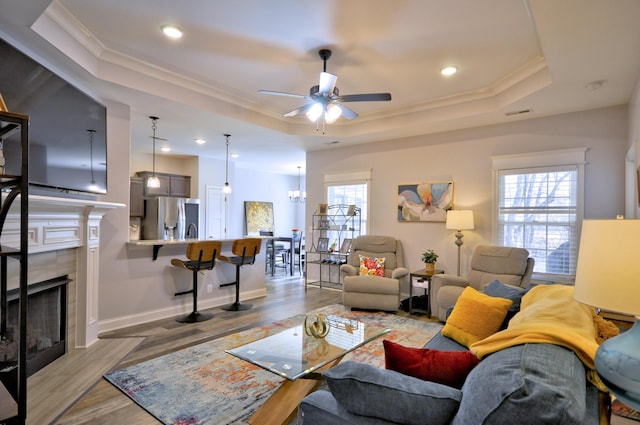 living room featuring a raised ceiling, a healthy amount of sunlight, and a premium fireplace