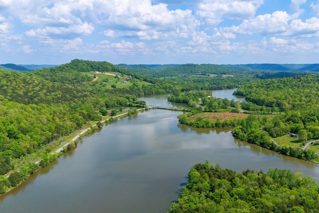 birds eye view of property with a water view and a wooded view