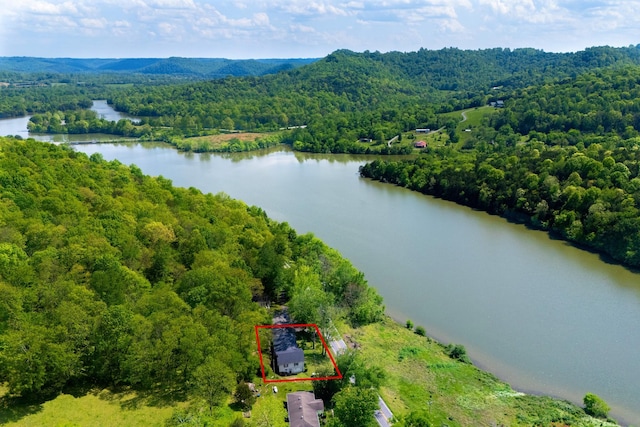 bird's eye view with a water view and a forest view