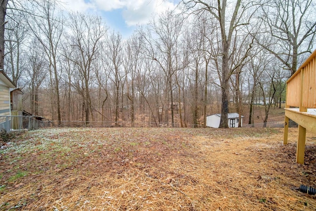 view of yard with a shed