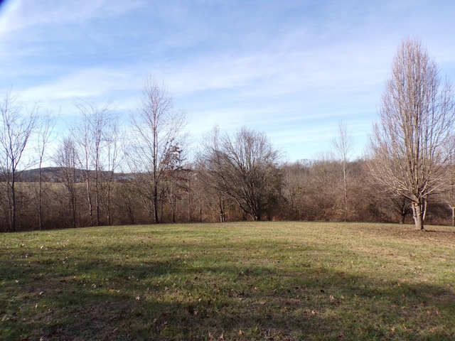 view of yard with a rural view