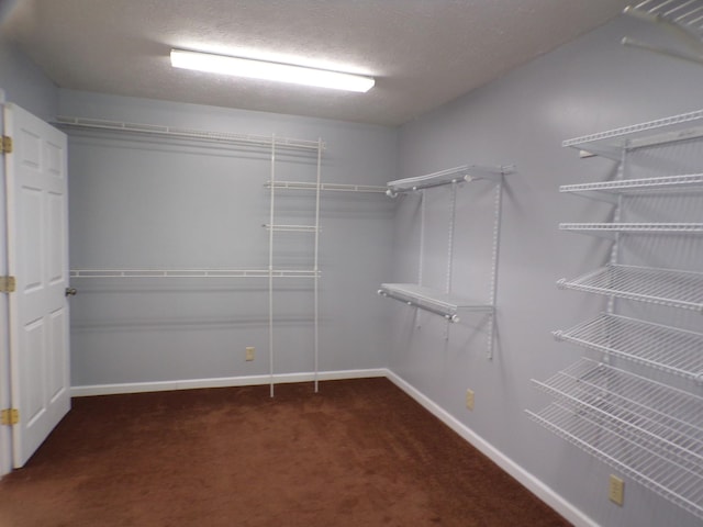 spacious closet featuring dark colored carpet